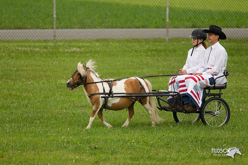 4H-1st-Show-11_0998.jpg