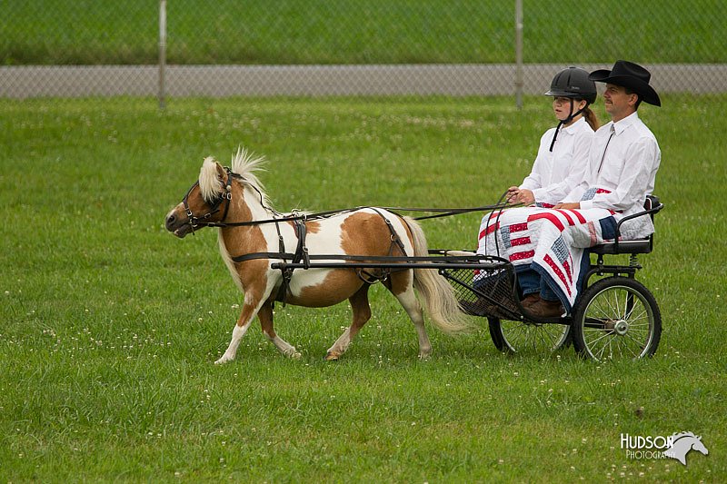4H-1st-Show-11_0999.jpg