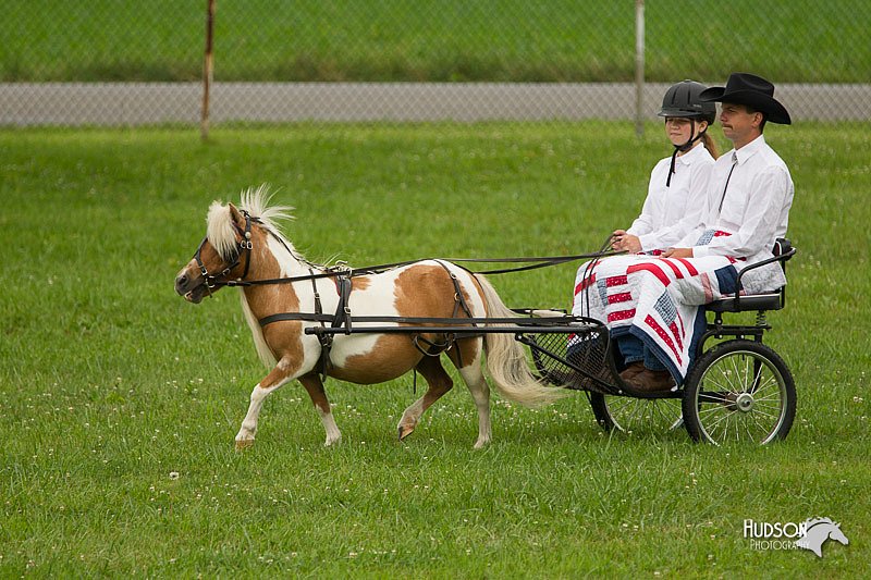 4H-1st-Show-11_1000.jpg