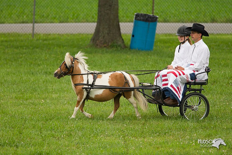 4H-1st-Show-11_1001.jpg