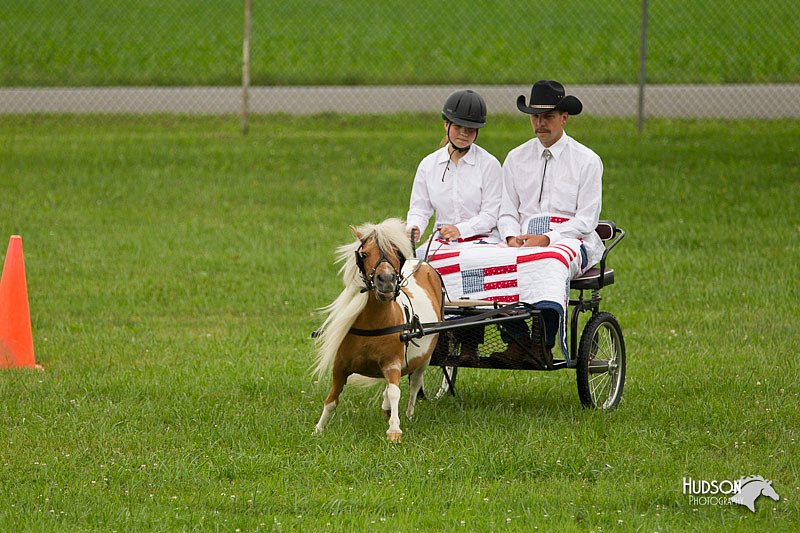 4H-1st-Show-11_1002.jpg