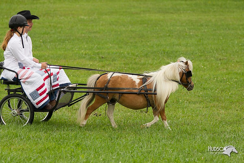 4H-1st-Show-11_1004.jpg