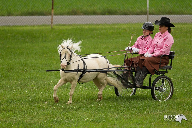 4H-1st-Show-11_1006.jpg