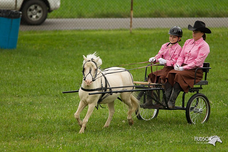 4H-1st-Show-11_1007.jpg
