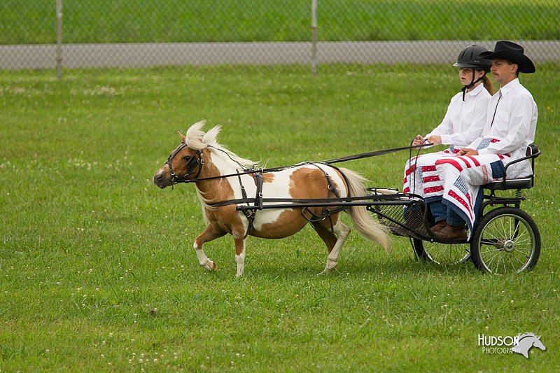 4H-1st-Show-11_1008.jpg