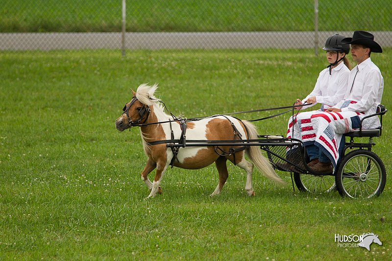 4H-1st-Show-11_1009.jpg