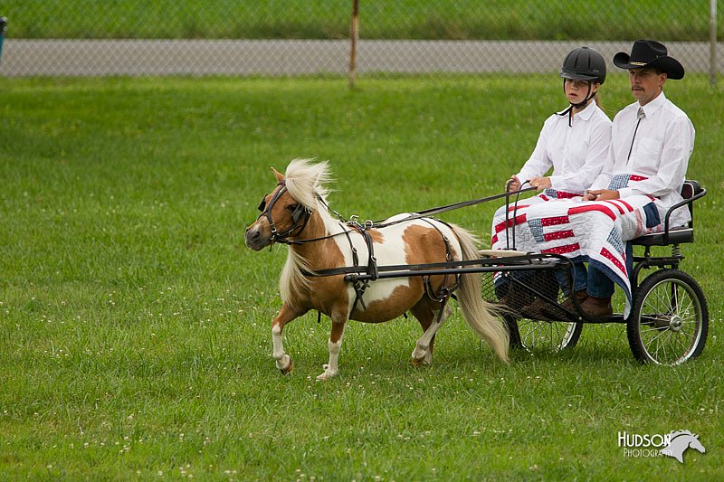 4H-1st-Show-11_1010.jpg