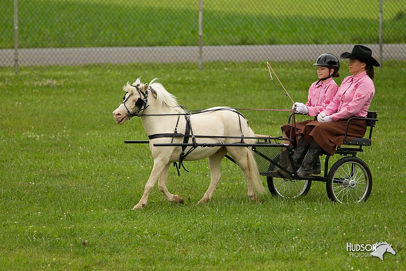 4H-1st-Show-11_1011.jpg