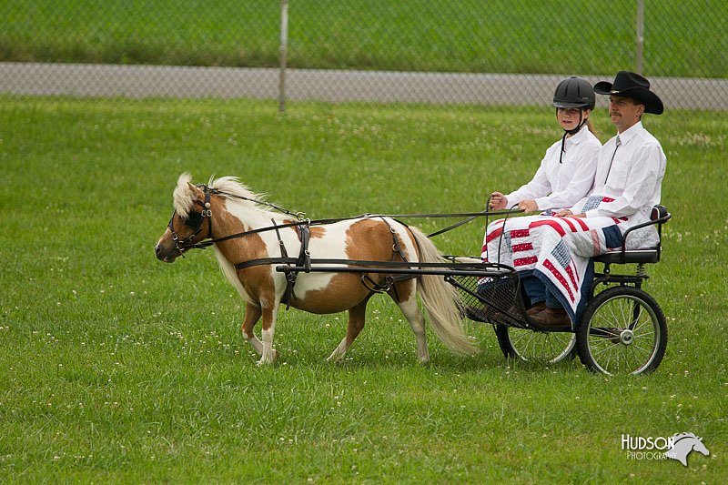 4H-1st-Show-11_1012.jpg