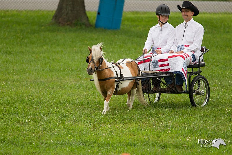 4H-1st-Show-11_1013.jpg