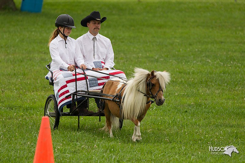 4H-1st-Show-11_1014.jpg