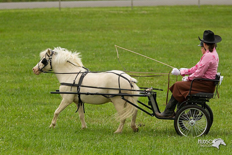 4H-1st-Show-11_1015.jpg