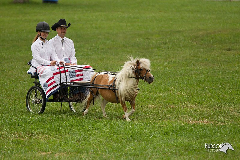 4H-1st-Show-11_1016.jpg