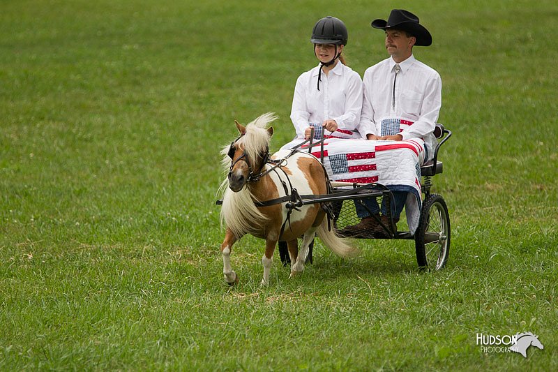 4H-1st-Show-11_1017.jpg