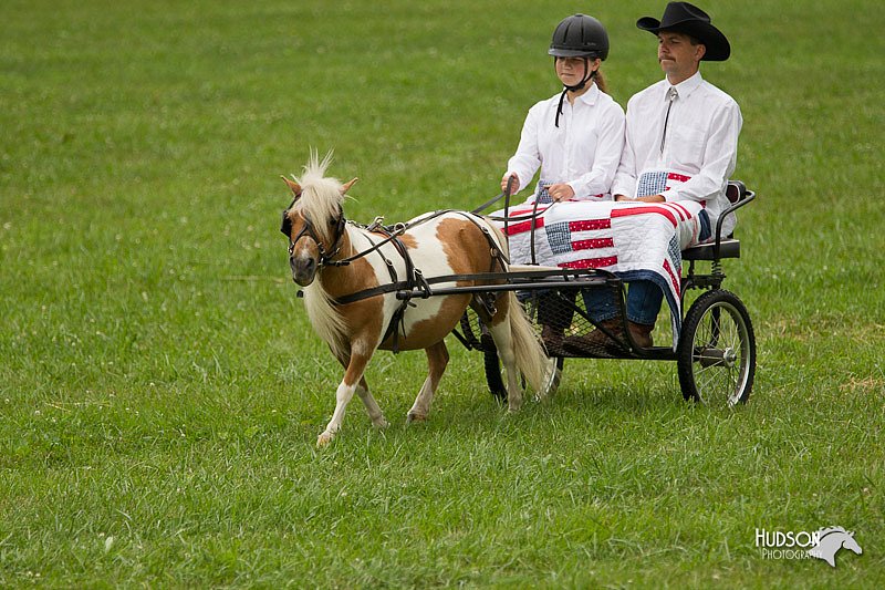 4H-1st-Show-11_1018.jpg