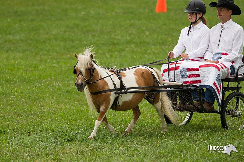 4H-1st-Show-11_1020.jpg