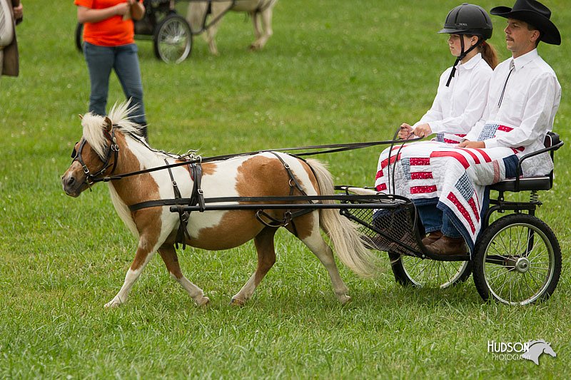 4H-1st-Show-11_1021.jpg