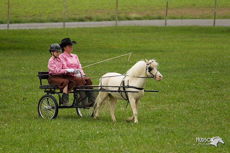 4H-1st-Show-11_1022.jpg