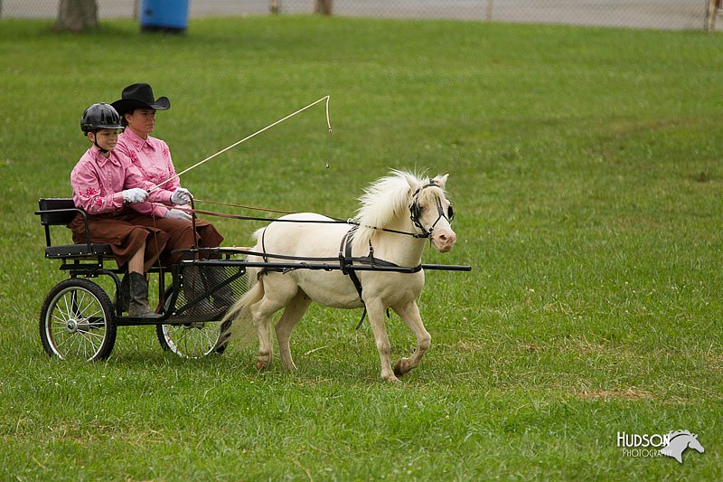 4H-1st-Show-11_1023.jpg