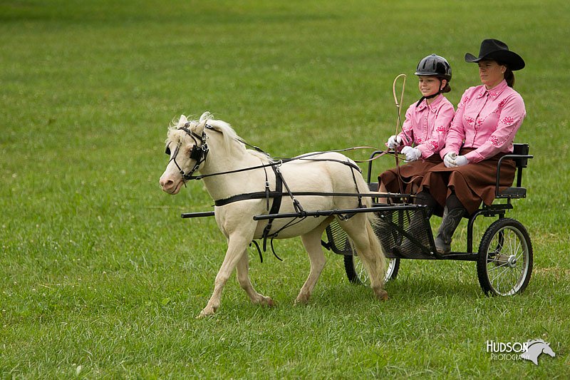 4H-1st-Show-11_1024.jpg