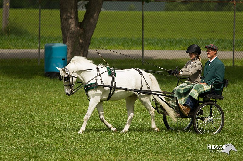 4H-1st-Show-11_1028.jpg