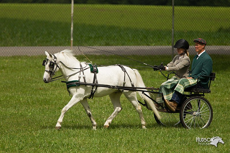 4H-1st-Show-11_1029.jpg