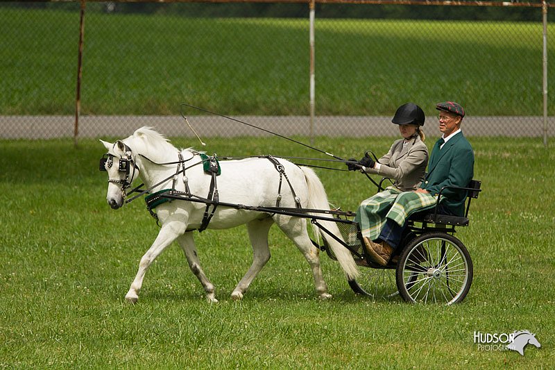 4H-1st-Show-11_1030.jpg