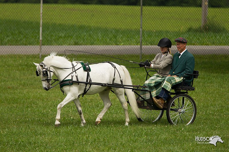 4H-1st-Show-11_1032.jpg