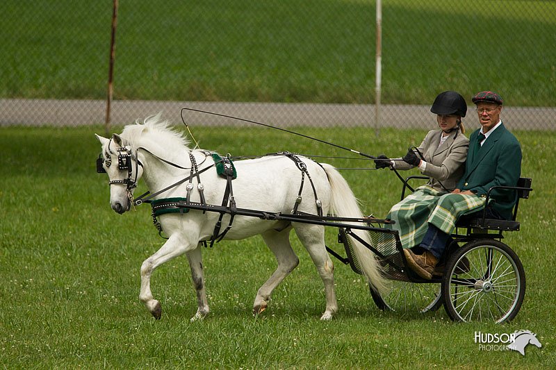 4H-1st-Show-11_1033.jpg