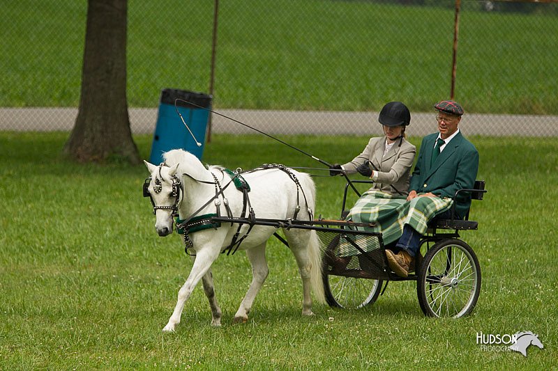 4H-1st-Show-11_1034.jpg