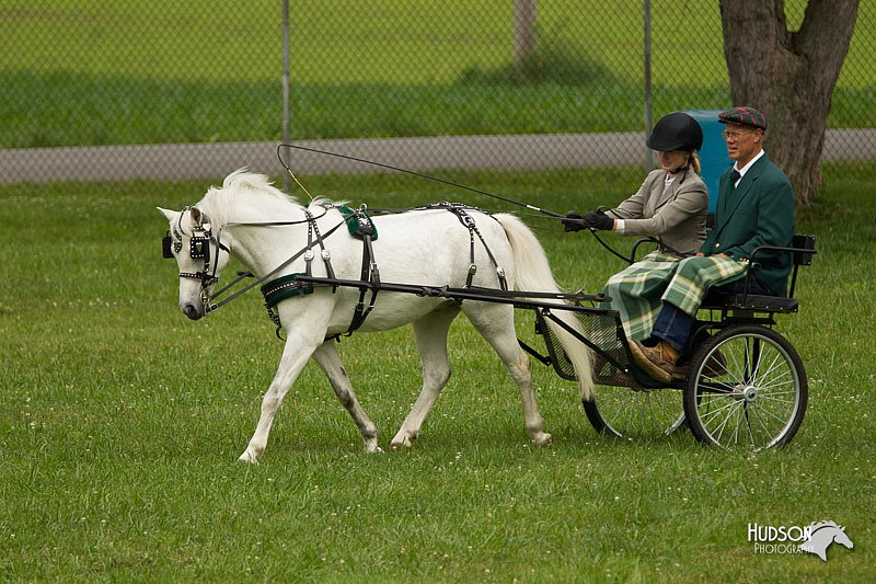 4H-1st-Show-11_1036.jpg