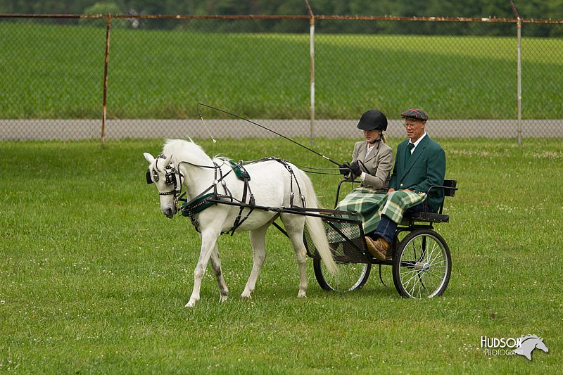 4H-1st-Show-11_1038.jpg