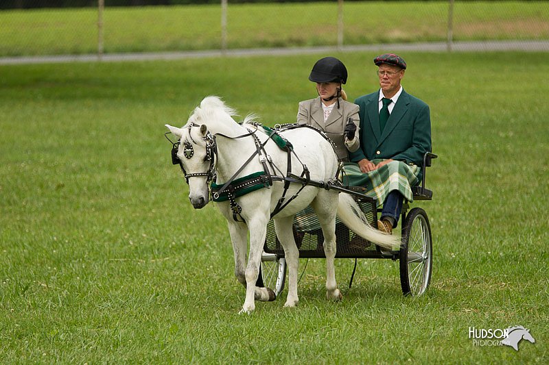 4H-1st-Show-11_1040.jpg