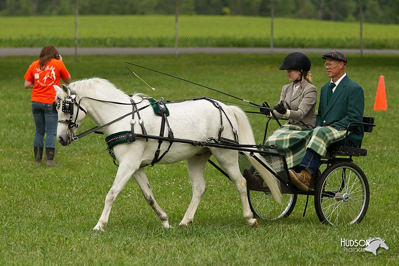 4H-1st-Show-11_1042.jpg