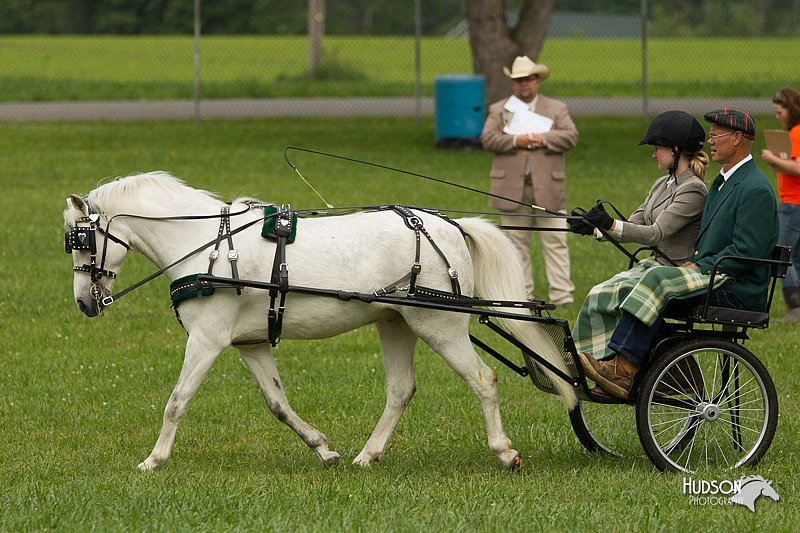 4H-1st-Show-11_1043.jpg