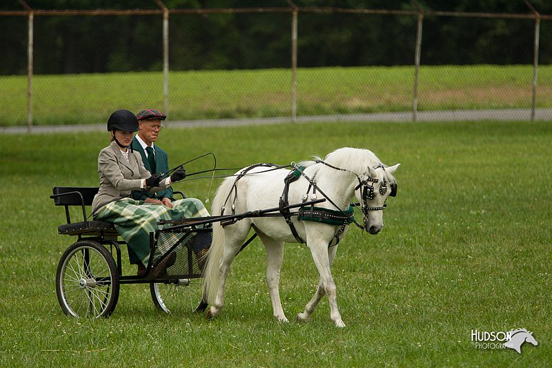 4H-1st-Show-11_1045.jpg
