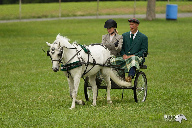 4H-1st-Show-11_1046.jpg