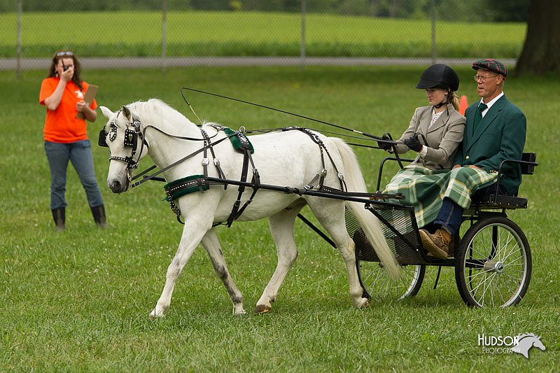 4H-1st-Show-11_1047.jpg