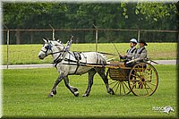 4H-1st-Show-11_0967.jpg