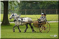 4H-1st-Show-11_0968.jpg