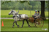 4H-1st-Show-11_0969.jpg