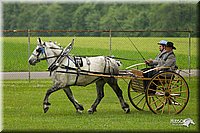 4H-1st-Show-11_0970.jpg