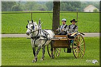 4H-1st-Show-11_0972.jpg