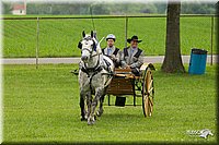 4H-1st-Show-11_0973.jpg