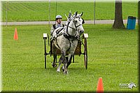 4H-1st-Show-11_0974.jpg