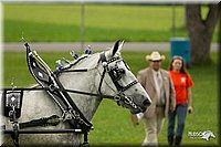 4H-1st-Show-11_0976.jpg