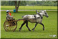 4H-1st-Show-11_0978.jpg