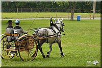 4H-1st-Show-11_0979.jpg