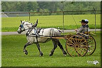 4H-1st-Show-11_0980.jpg