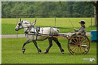 4H-1st-Show-11_0981.jpg